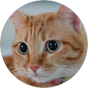 Dawn Kua profile picture